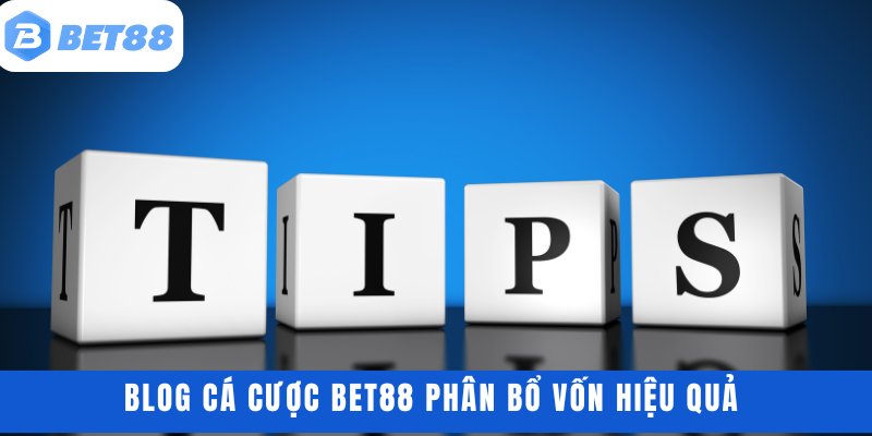 Blog cá cược BET88 phân bổ vốn hiệu quả