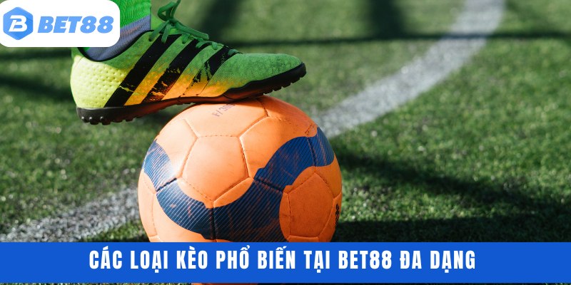 Các loại kèo phổ biến tại BET88 đa dạng
