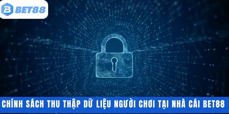 Chính sách thu thập dữ liệu người chơi tại nhà cái BET88