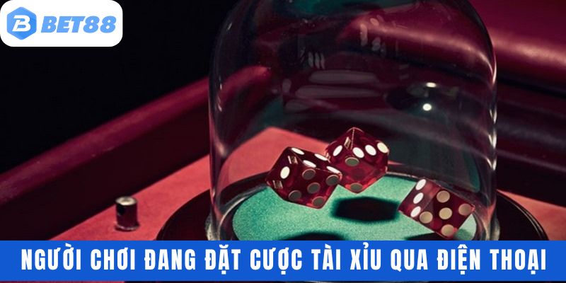 Người chơi đang đặt cược tài xỉu qua điện thoại