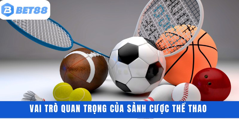 Vai trò quan trọng của sảnh cược thể thao